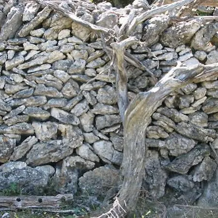 Televrin Hotel Nerezine